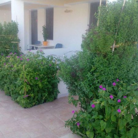 Villas Irene 5 Family Apartments Kokkini Hani Bagian luar foto