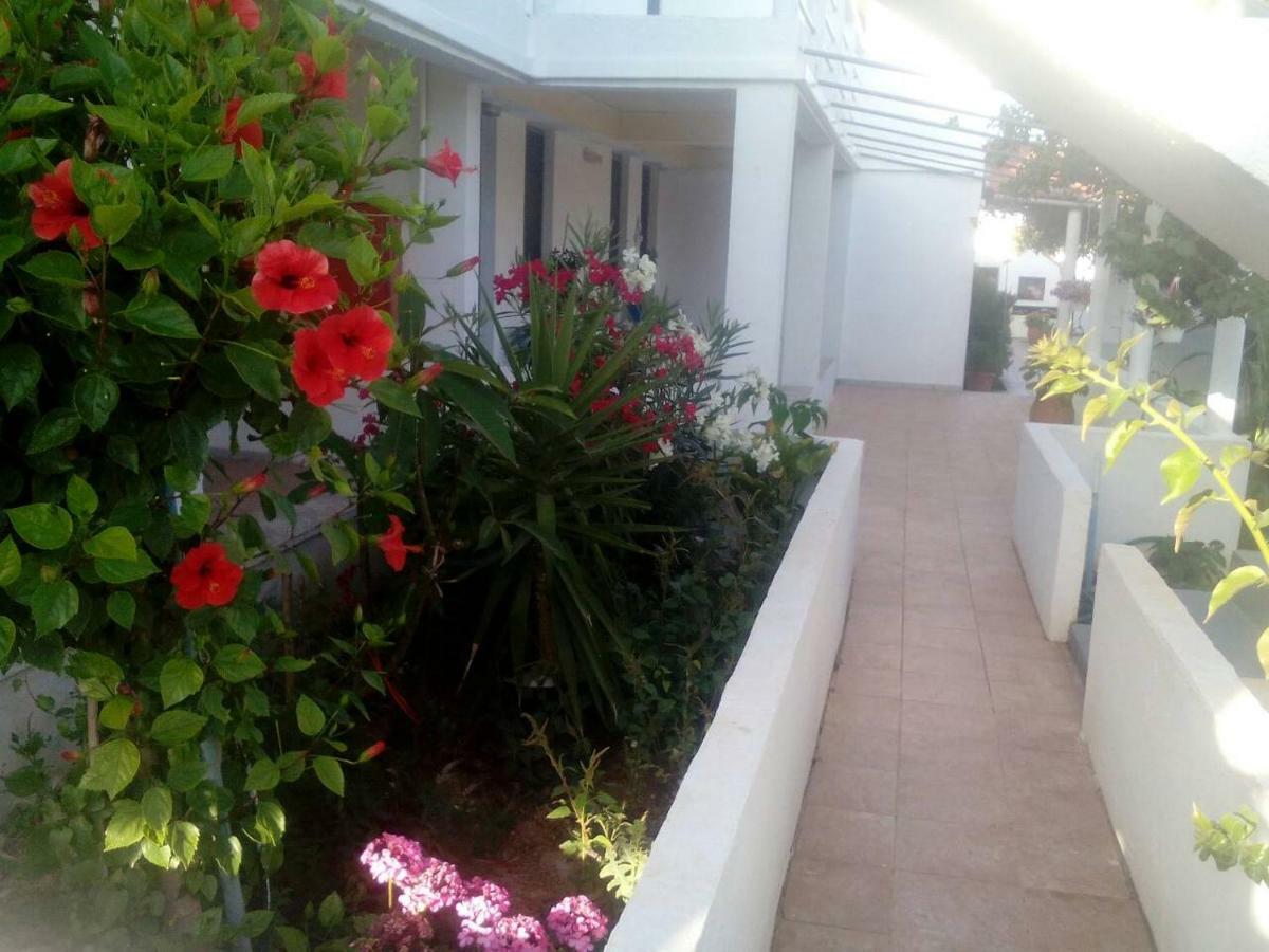 Villas Irene 5 Family Apartments Kokkini Hani Bagian luar foto