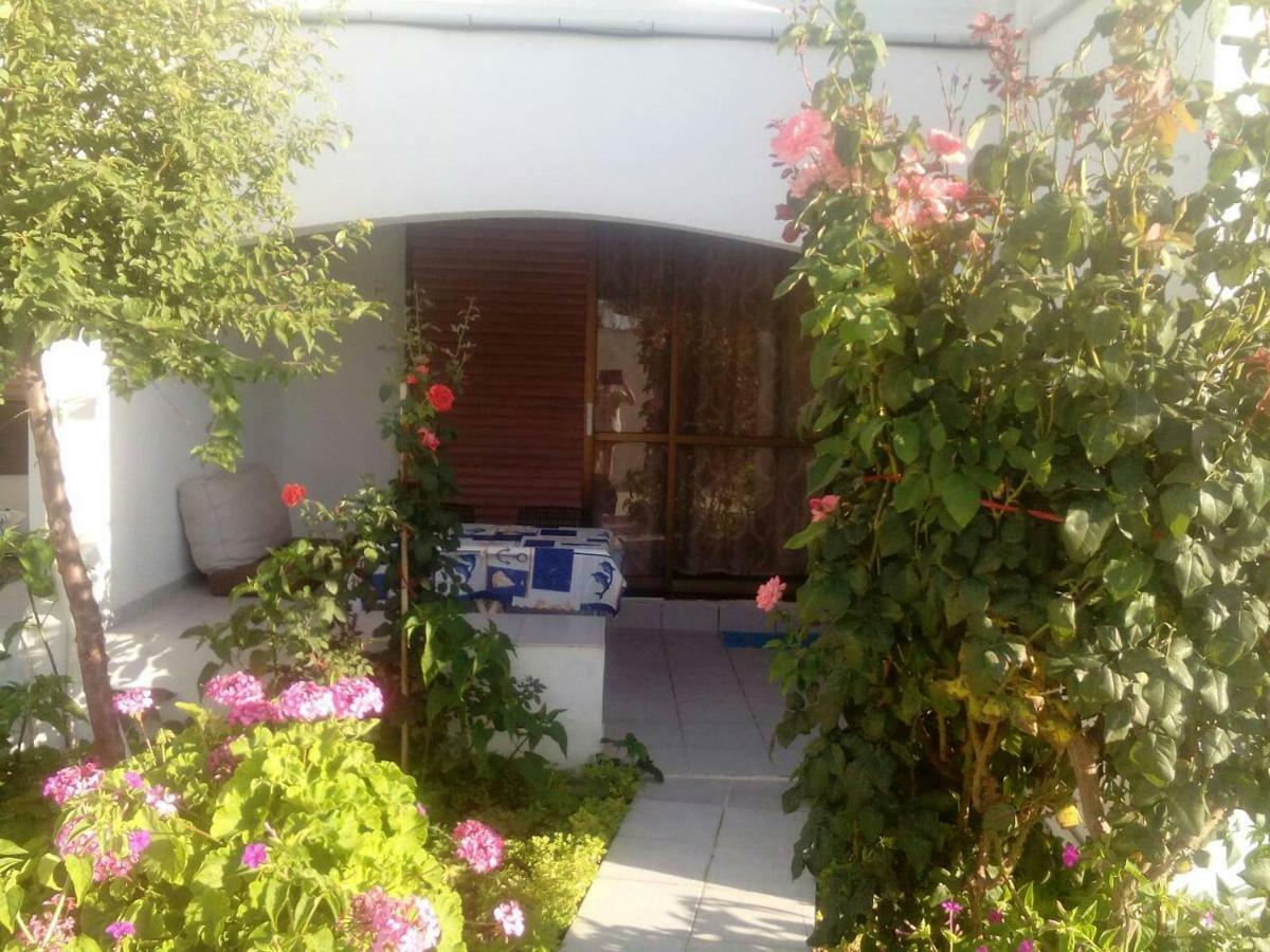 Villas Irene 5 Family Apartments Kokkini Hani Bagian luar foto